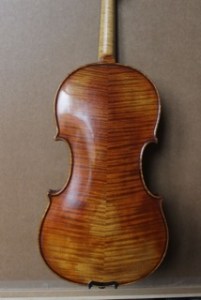 Violin: Cannone STV850